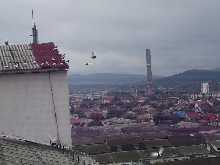 RECUPERAREA ULTIMILOR LUPTATORI - COTOFENE IN ZBOR