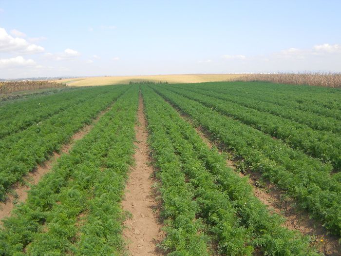 DSCN1892 restu   ghigi  cine  cun