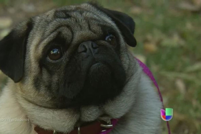 amores-verdaderos-cap-103-55_590x395