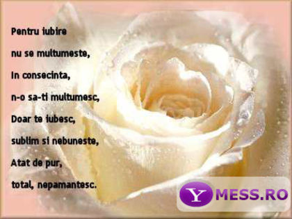 54 - xo_Texte Statusuri Avatare_xo