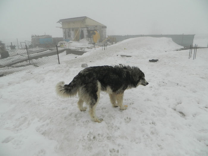DSCN0196