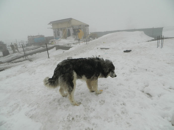 DSCN0197
