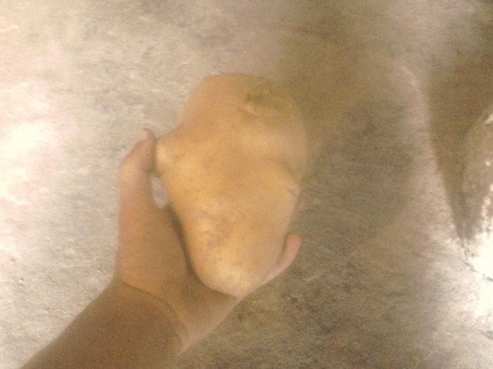 IMG_20130910_162846 - un mare cartof