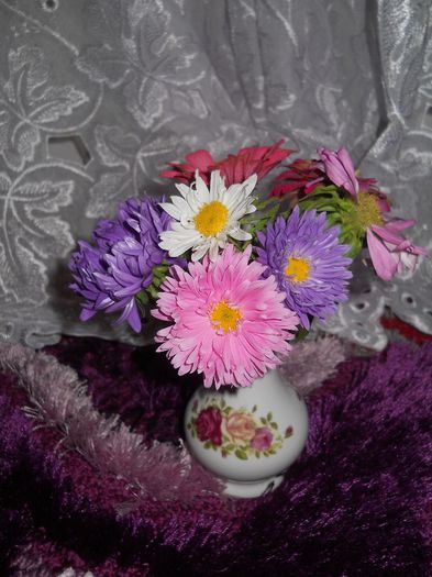 DSCN1459 - floricele din gradina 2013