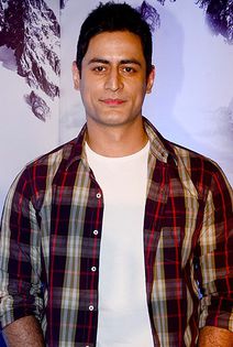 mohit-raina-post_1361354000