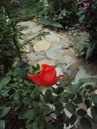 DSC00061
