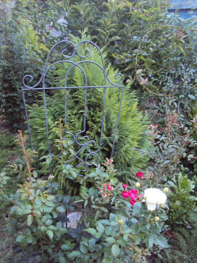 DSC09886