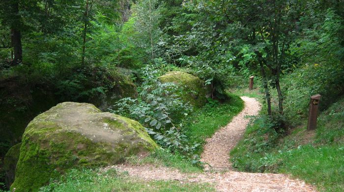 IMG_3011 - grota din sinca veche