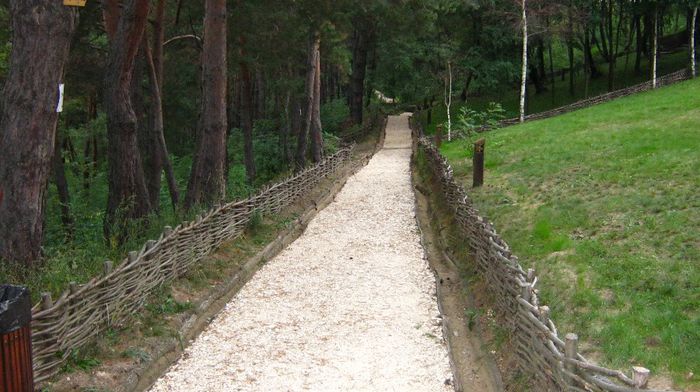 IMG_3047 - grota din sinca veche