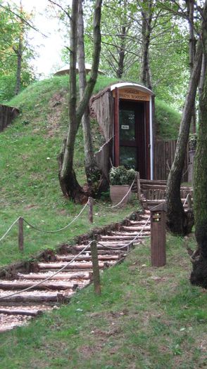 IMG_3052 - grota din sinca veche