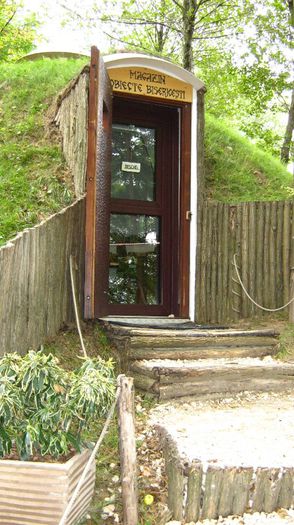 IMG_3053 - grota din sinca veche