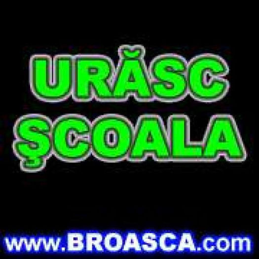 avatare-poze-urasc-scoala_0587670c168cfb