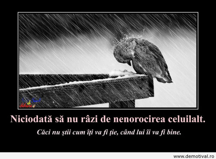 Niciodata-sa-nu-razi-de-nenorocirea-altuia