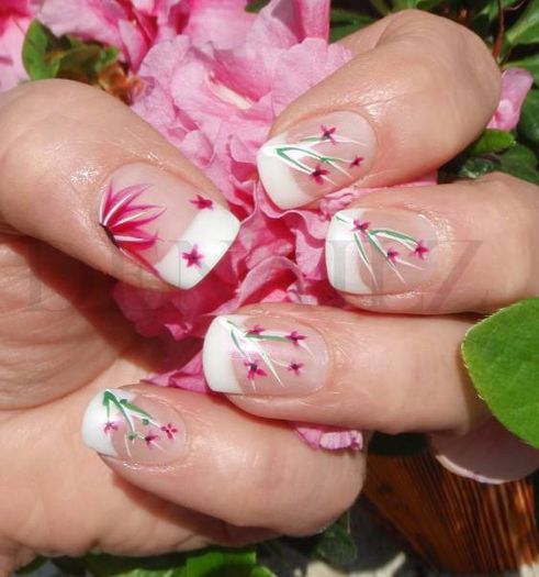 552999_522426821176139_443651096_n