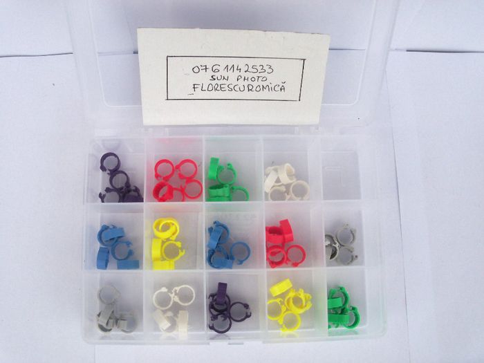 cutie cu cleme 30 ron 2013 023