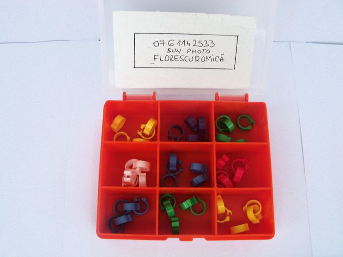 cctie cu cleme 25 ron  2013 025