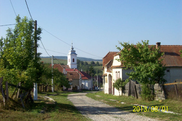 ULITA - COCOROVENI - DIN SATUL PALOS IN ZILELE DE ASTAZI.