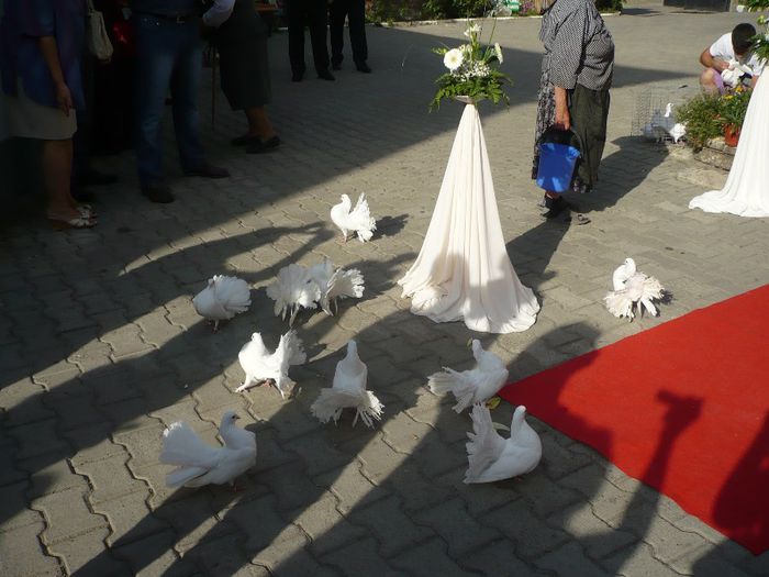 la biserica - Porumbei albi pentru nunti