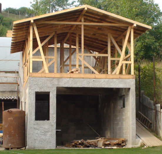 Image1