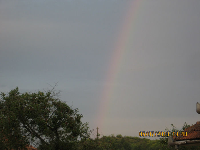 Picture 988
