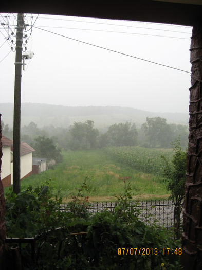 Picture 1001