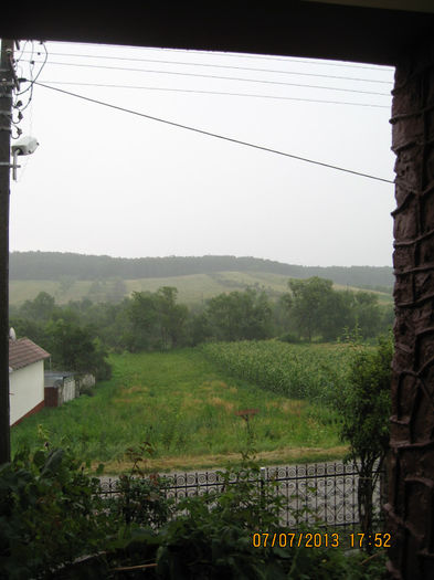 Picture 1002