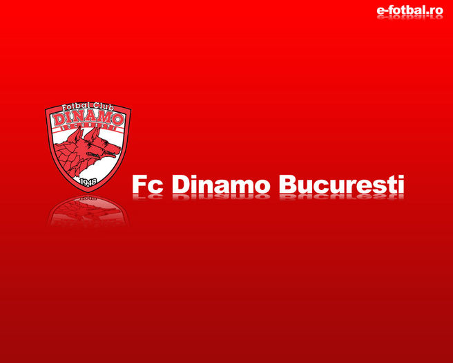 wallpaperefotbaldinamo - Dinamo