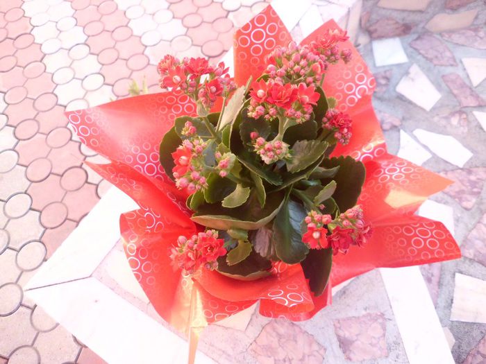 PRIMITA DE LA IUBY MEU