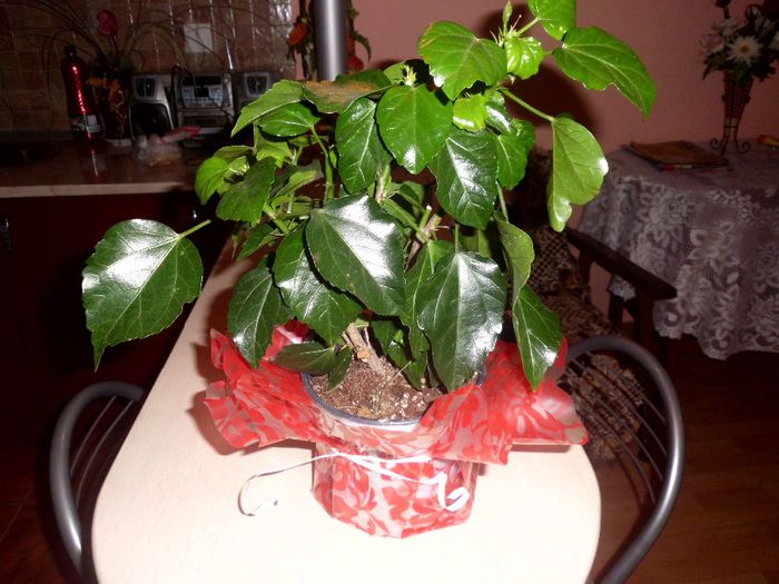 primit de la iuby meu