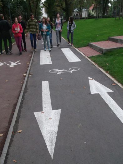 NU SE APLICA LEGEA BUNULUI SIMT