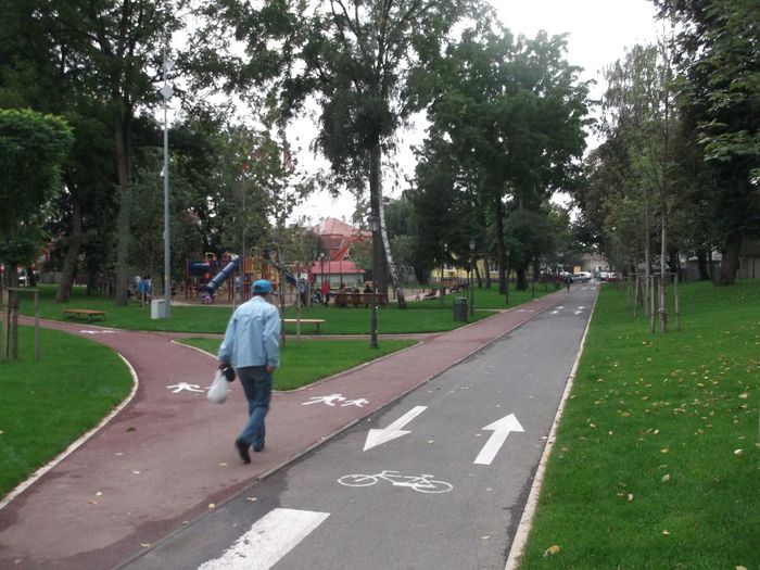 ASA SE CIRCULA SINGUR (chiar )