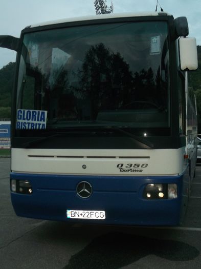 Picture 980 - PARCUL BISTRITEAN