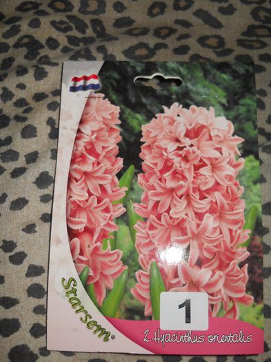 zambila roz - lady derby - achizitii pt 2014