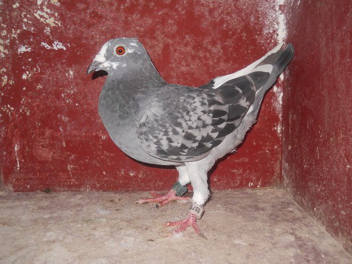 F-2012,din FR,tardiva,3 cls dintre care 1 fond.; F-2012-0571553
