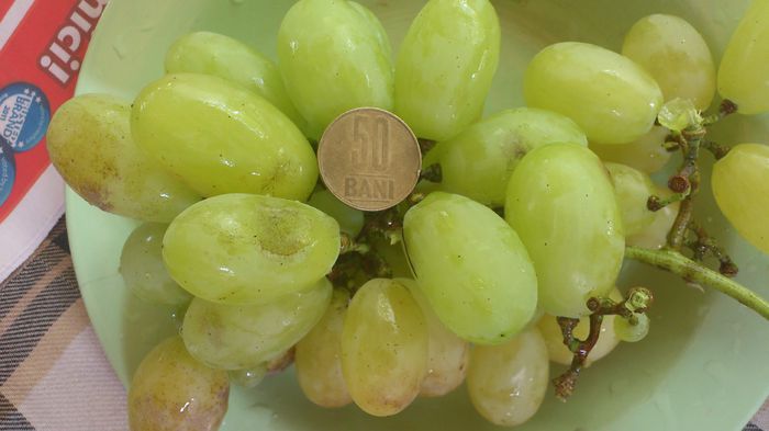 victoria - VITA DE VIE 2013