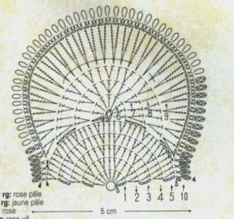 88415567_large_550095_419007008118381_782770398_n