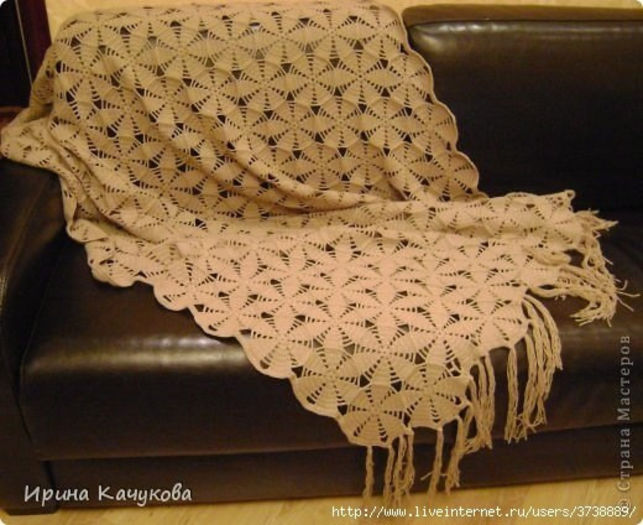 97361641_image - album 2