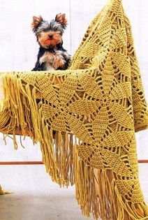 97361983_image - album 2