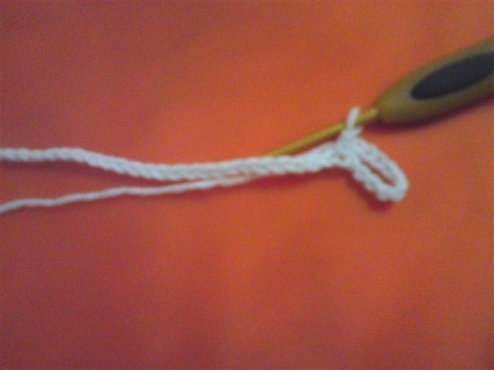 4017392_5774459147219519723