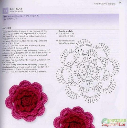 2008836_23432-550x500