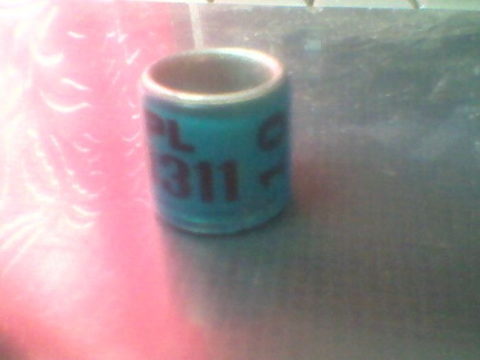 pl 2010