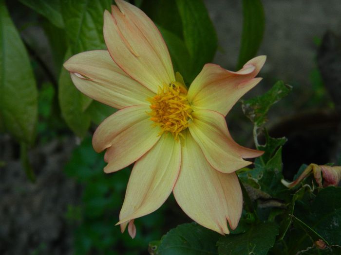 DSCN1205