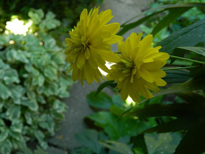 DSCN1234