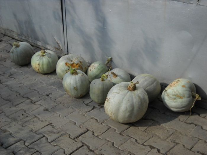 o mica parte din produtia de anul asta