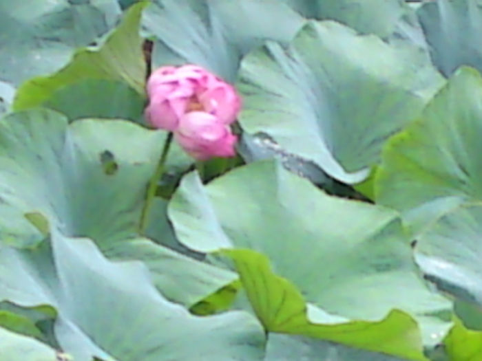 019