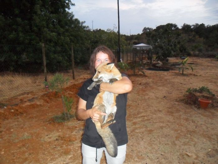 hera - Cunoasteti-ne