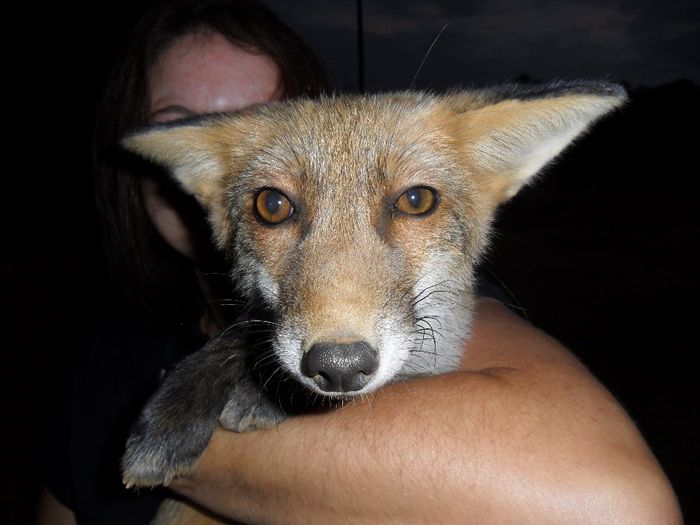 o rautate - Cunoasteti-ne