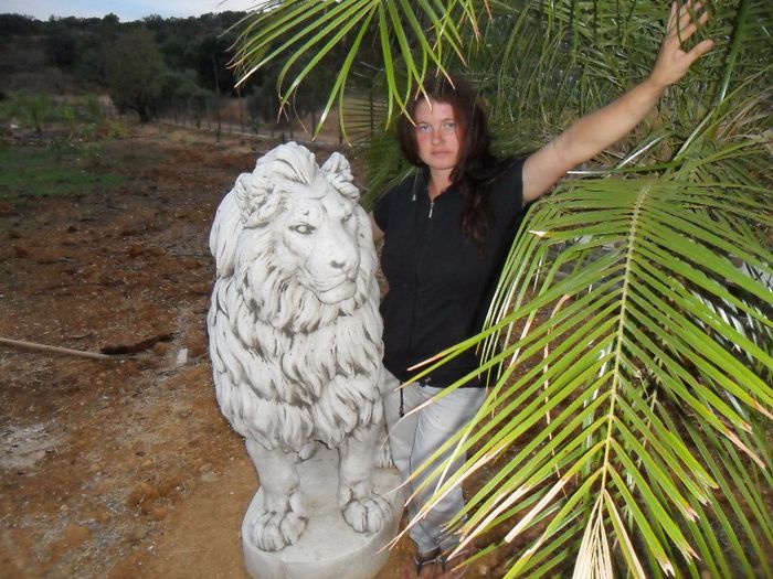 strajerii de la poarta - Cunoasteti-ne