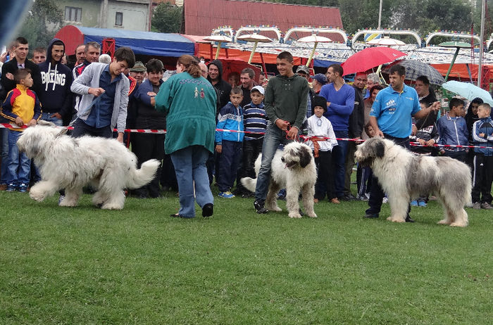 expo pastorala Rucar11