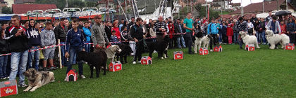 expo pastorala Rucar17